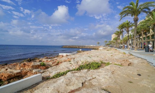 Long Term Rental - Apartments -
Torrevieja - Playa del Cura - Torrevieja