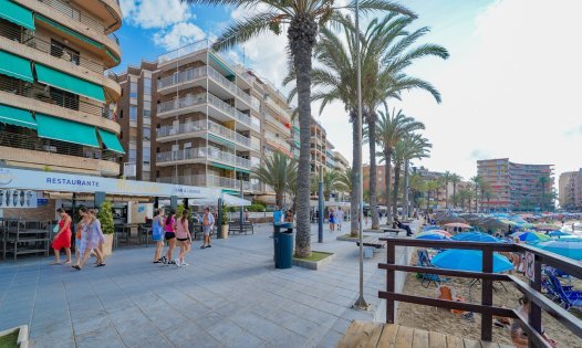 Long Term Rental - Apartments -
Torrevieja - Playa del Cura - Torrevieja