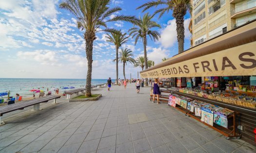 Long Term Rental - Apartments -
Torrevieja - Playa del Cura - Torrevieja
