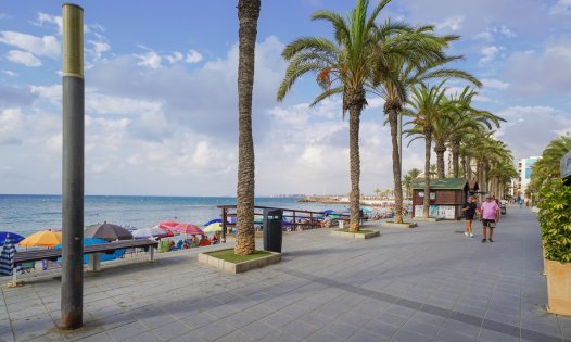 Long Term Rental - Apartments -
Torrevieja - Playa del Cura - Torrevieja