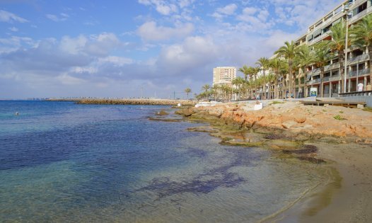 Long Term Rental - Apartments -
Torrevieja - Playa del Cura - Torrevieja