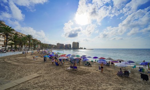 Long Term Rental - Apartments -
Torrevieja - Playa del Cura - Torrevieja