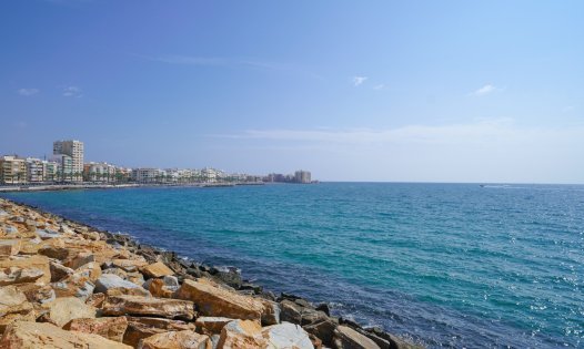 Obra nueva - Villas -
Torrevieja