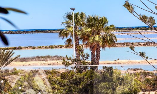 Revente - Maisons mitoyennes -
San Pedro del Pinatar - Lo Pag&aacute;n