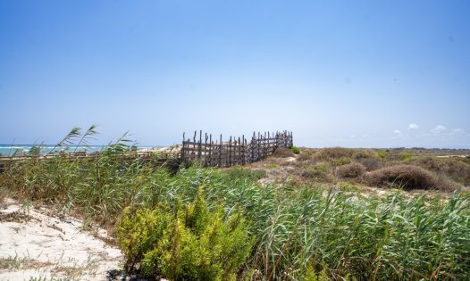 Revente - Maisons mitoyennes -
Pilar de la Horadada - El Mojon