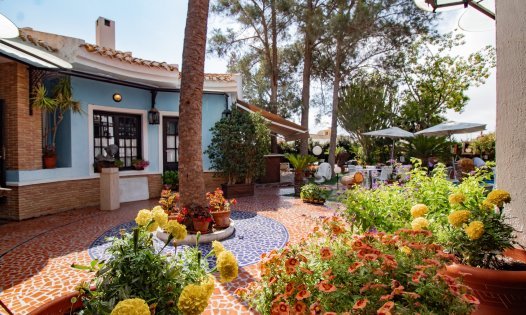 Wiederverkauf - Geschäftsräume -
Orihuela Costa - Dehesa de Campoamor