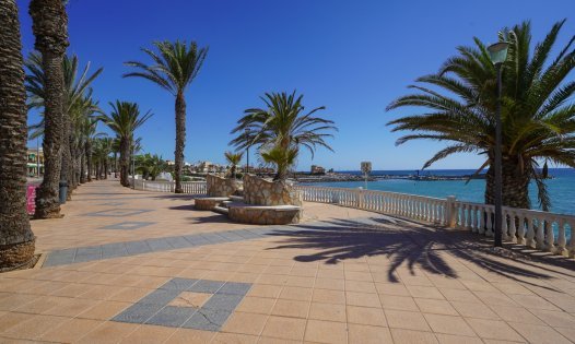 New Build - Bungalows -
Pilar de la Horadada - Torre de la Horadada