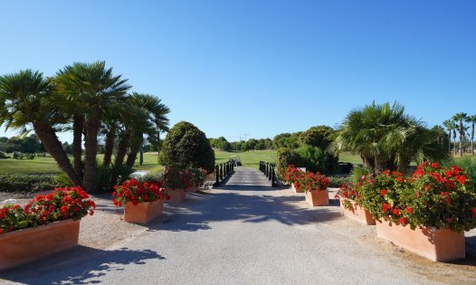 Nybygg - Villaer -
Pilar de la Horadada - Lo Romero Golf
