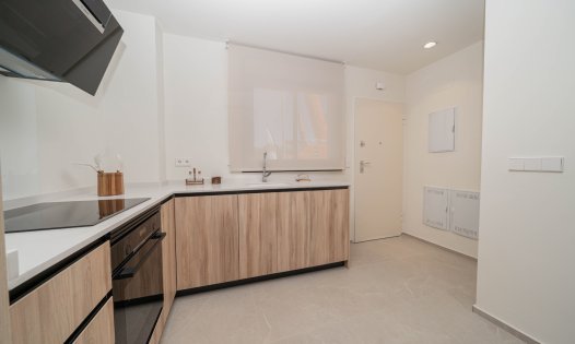 Nouvelle construction - Maisons mitoyennes -
Pilar de la Horadada
