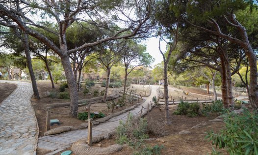 Resale - Commercial premises -
Guardamar del Segura
