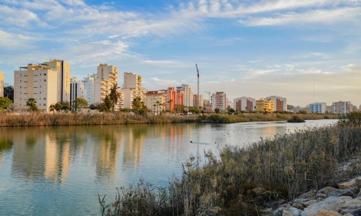 Resale - Commercial premises -
Guardamar del Segura