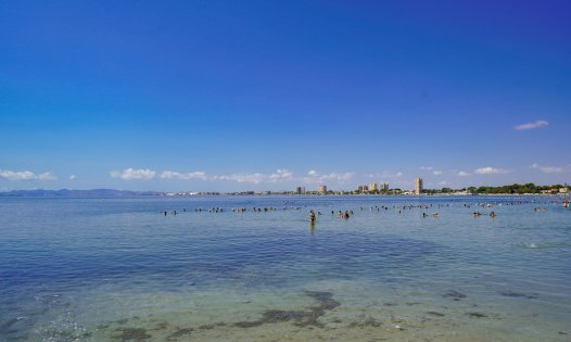 Neue Gebäude - Bungalows -
San Pedro del Pinatar