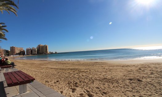 Återförsäljning - Bungalows -
Torrevieja - La Veleta