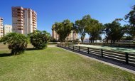 Segunda mano - Apartamentos -
Orihuela Costa - Dehesa de Campoamor